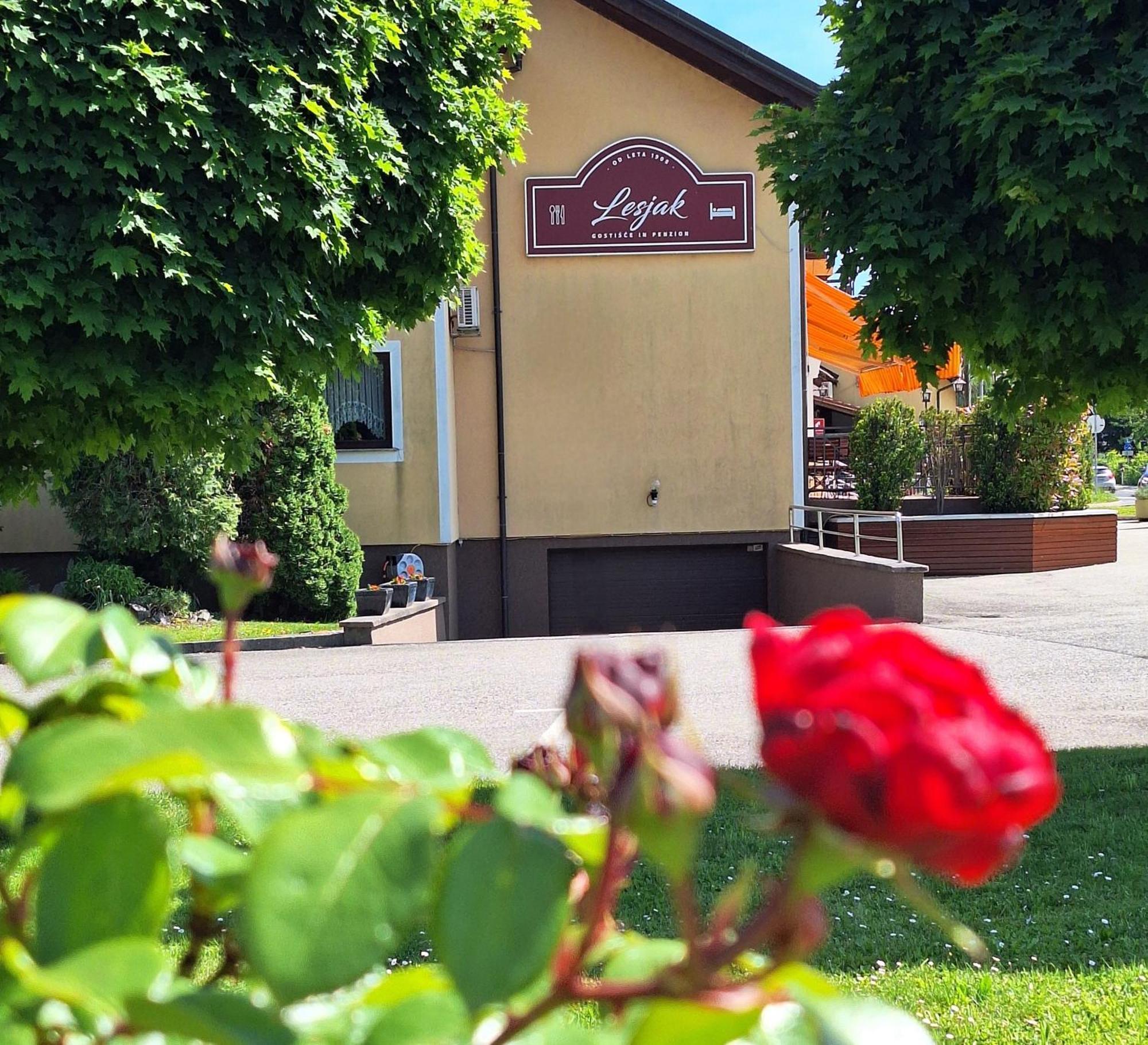 Penzion Gostisce Lesjak Orehova vas Buitenkant foto